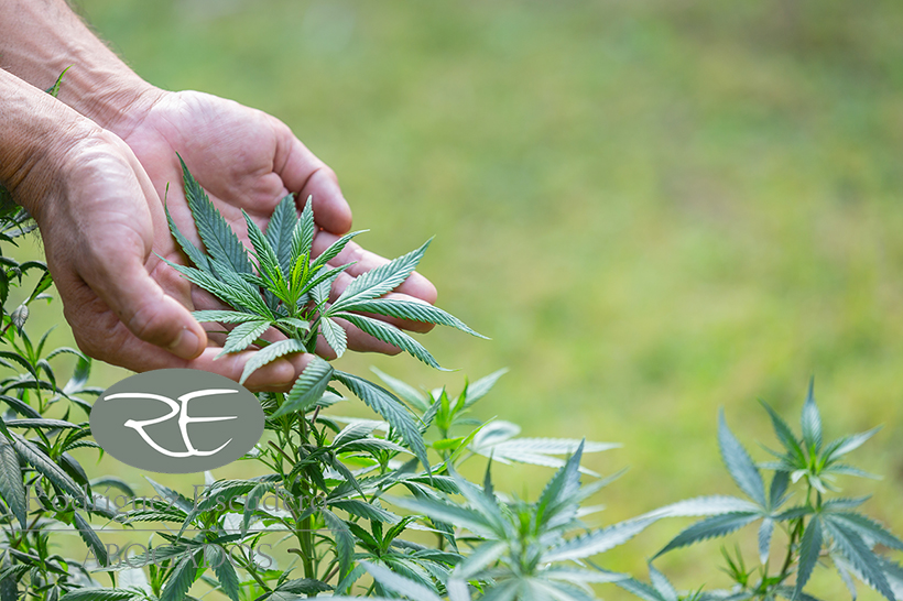 abogado delitos penales en san agustin de guadalix