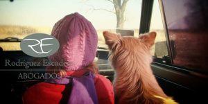 Qué tengo que hacer si mi hijo menor de edad ha estado implicado en un accidente de coche