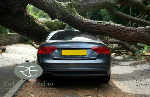 Accidentes atípicos